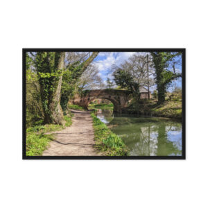 Basingstoke Canal: Premium Pine Tree Framed Canvas Art