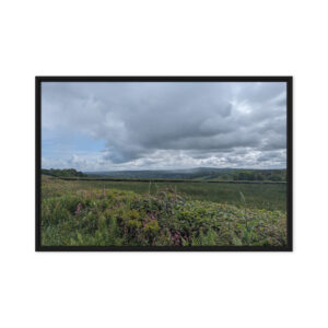 Framed Canvas Art | Wall Art | Looking Across the Valley Towards Henfynyw, West Wales: