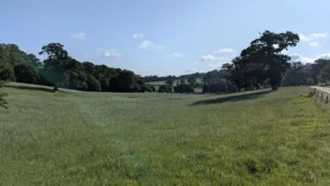 a peaceful woodland walk from longleat caravan club site 1