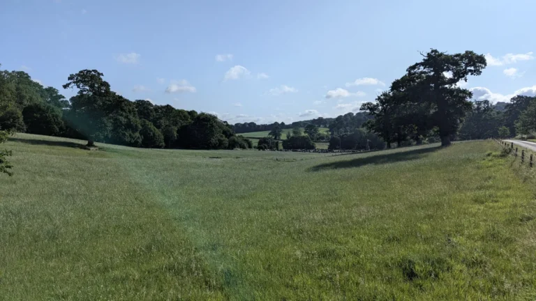 a peaceful woodland walk from longleat caravan club site 1