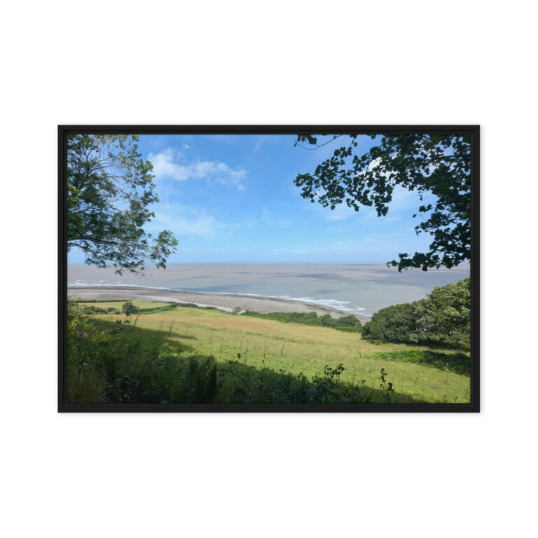 framed canvas